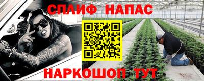 ешки Дубна